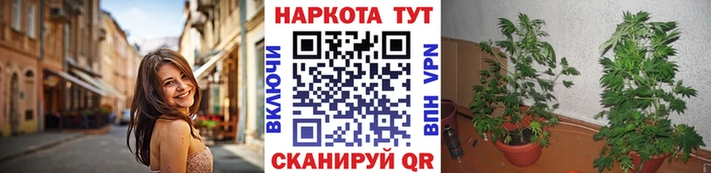 Псилоцибиновые грибы Черепаново