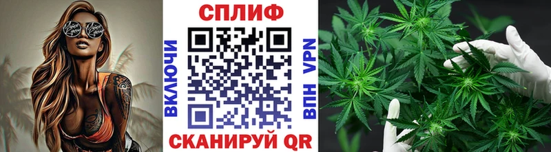 Конопля ГИДРОПОН Черепаново